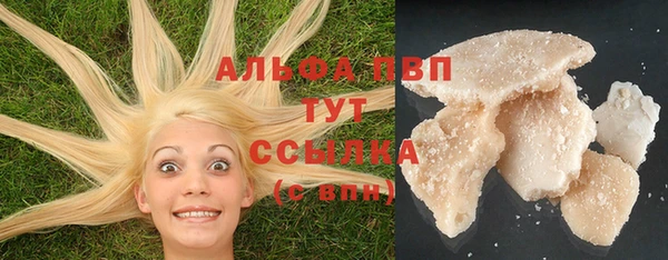 альфа пвп Медвежьегорск