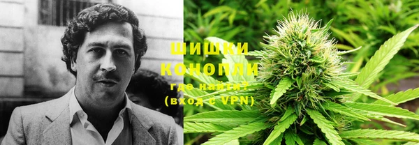 2c-b Мегион
