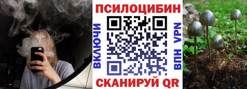 это телеграм  МЕГА ТОР  Кудрово  Псилоцибиновые грибы ЛСД 