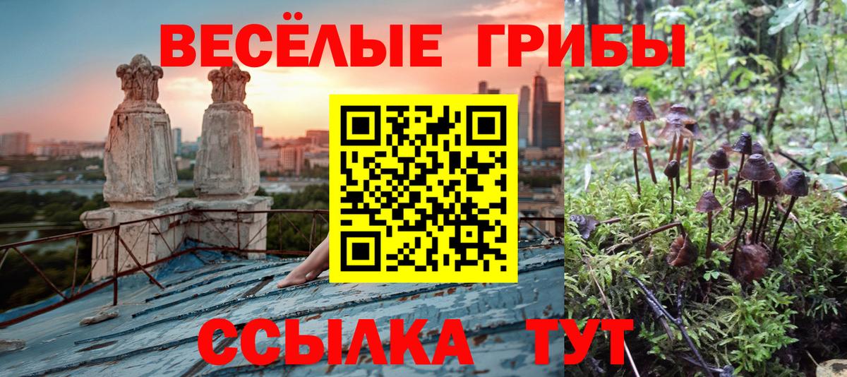 Гашиш Кудрово