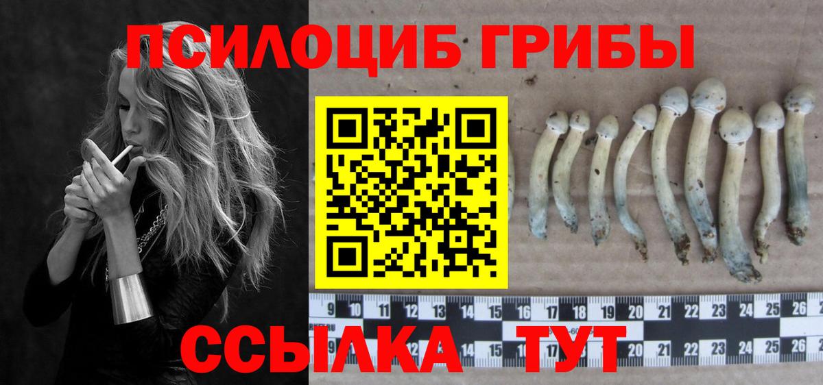 купить   Псилоцибиновые грибы Psilocybine cubensis  Кудрово  Вход с VPN  Галлюциногенные грибы Cubensis 