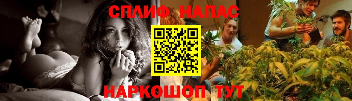 Шишки марихуана Ganja Кудрово